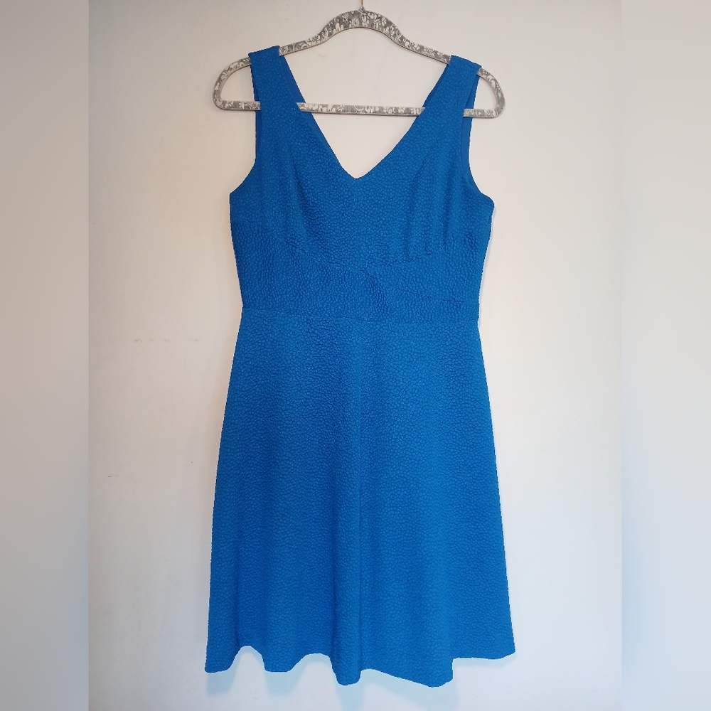 Donna Ricco Vibrant Blue Midi Dress